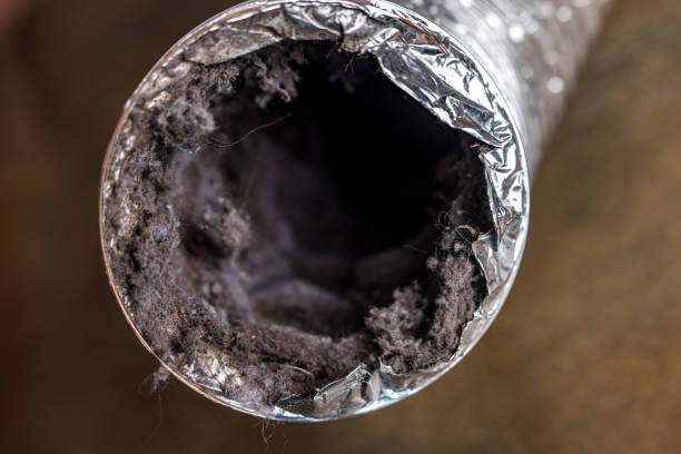 Best Affordable Duct Cleaning Services  in Seaside Heights, NJ